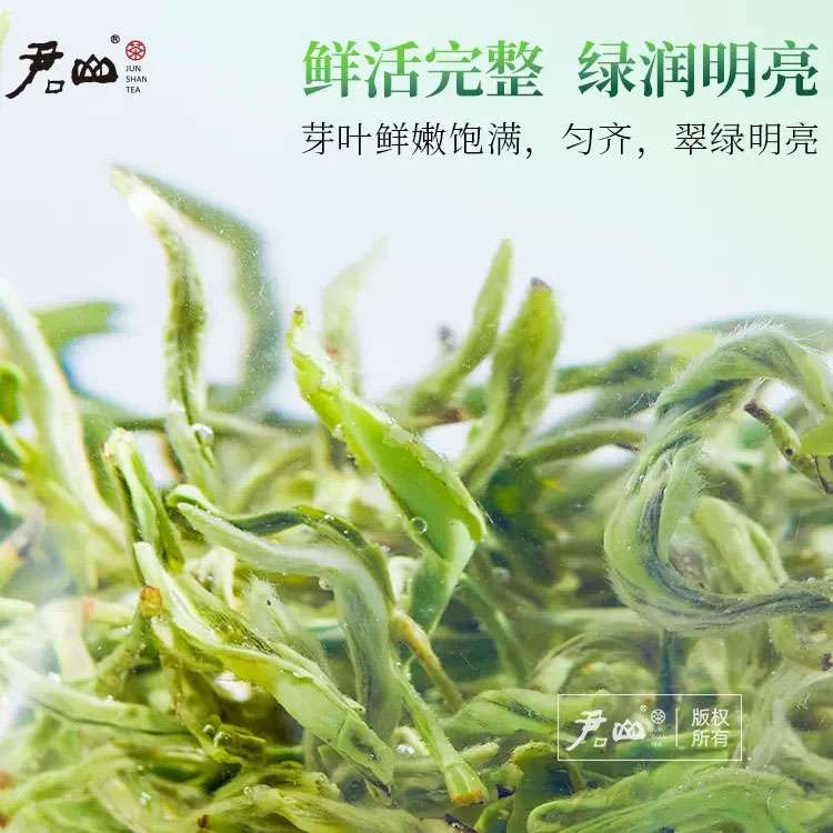 [君山牌] 2023明前新茶湖南特产君山毛尖礼盒装春茶送礼茶叶绿茶250g盒